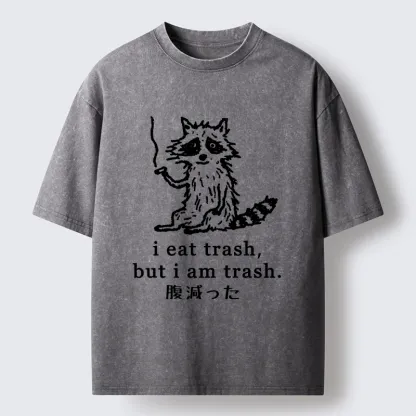 Tokyo-Tiger Raccoon’s Trashy Lifestyle Washed T-Shirt