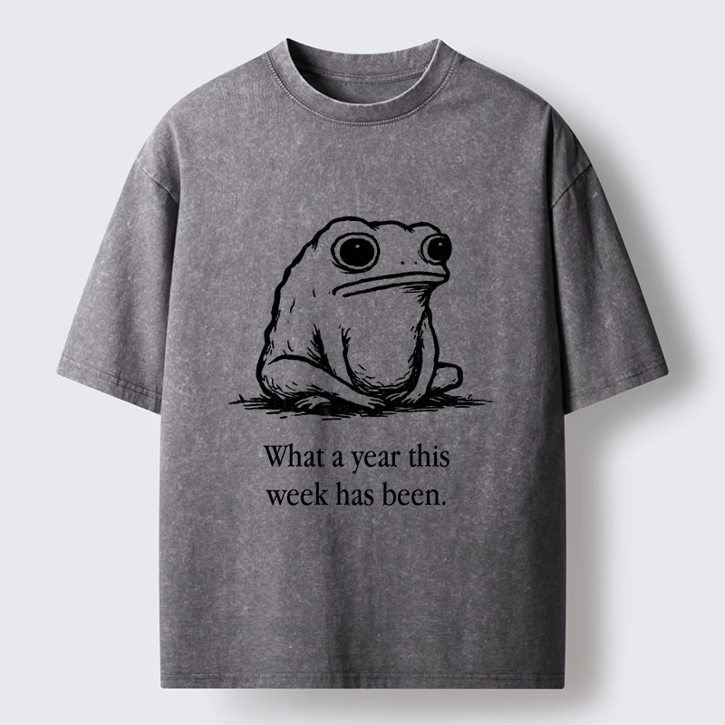 Tokyo-Tiger This Week Feels Like A Whole Year Washed T-Shirt