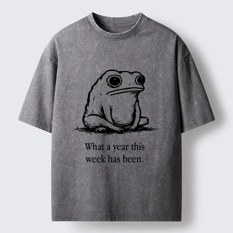 Tokyo-Tiger This Week Feels Like A Whole Year Washed T-Shirt