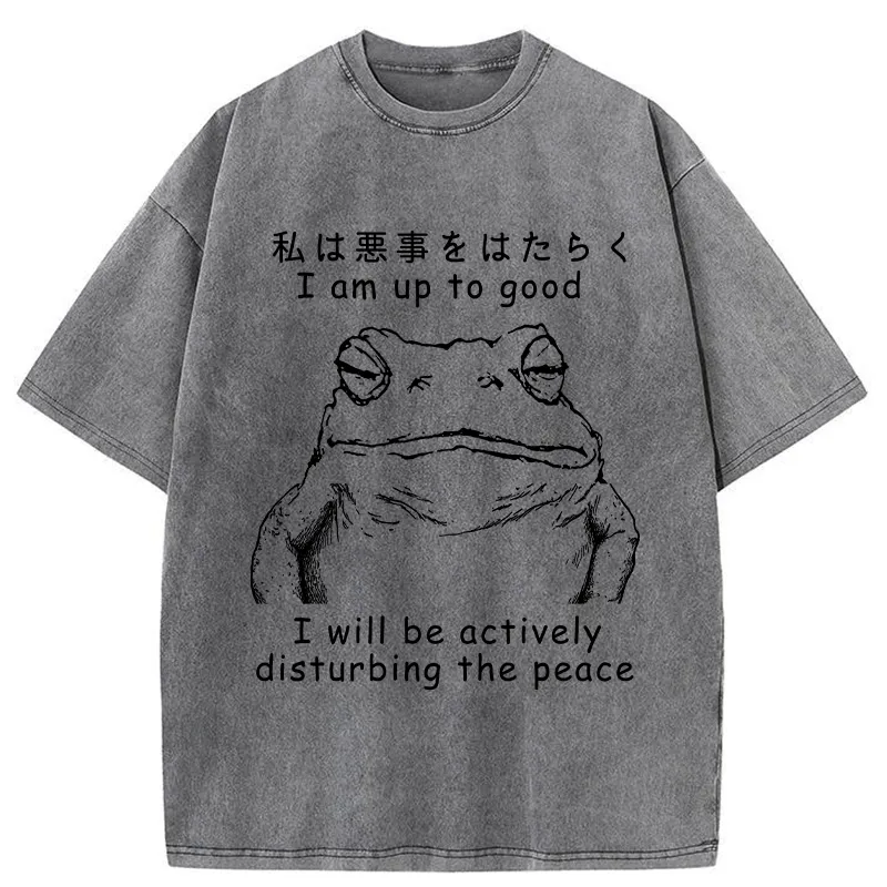 Tokyo-Tiger Frog Disturbs The Peace Washed T-Shirt