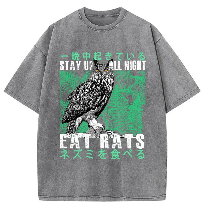 Tokyo-Tiger Owls Prey On Rats At Night Washed T-Shirt