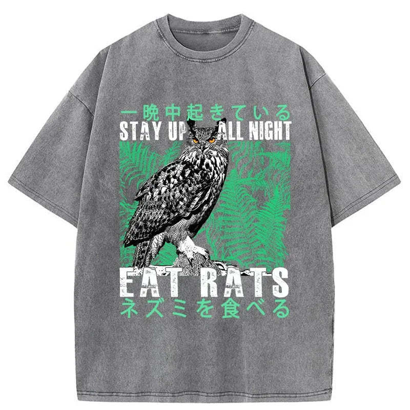 Tokyo-Tiger Owls Prey On Rats At Night Washed T-Shirt