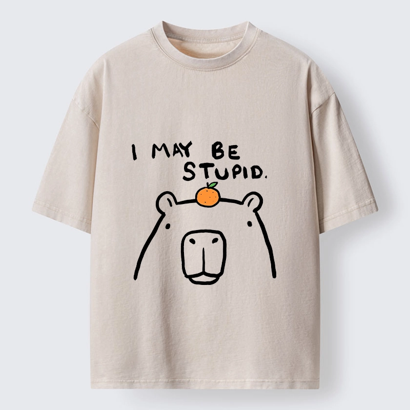Tokyo‑Tiger Funny Capybara Orange Washed T‑Shirt
