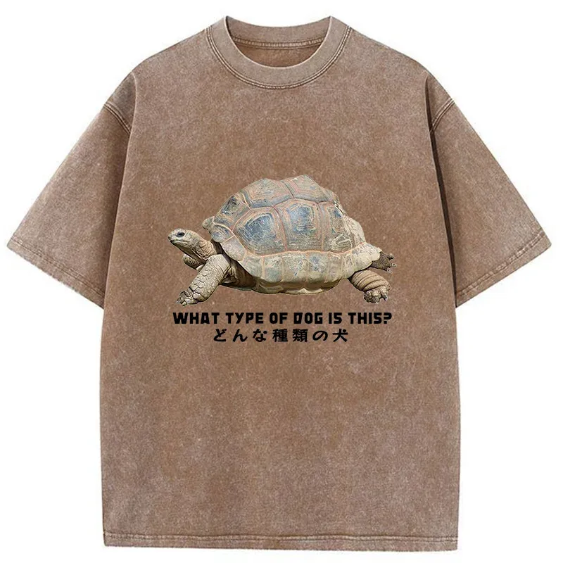 Tokyo-Tiger Slow Crawling Dog Washed T-Shirt