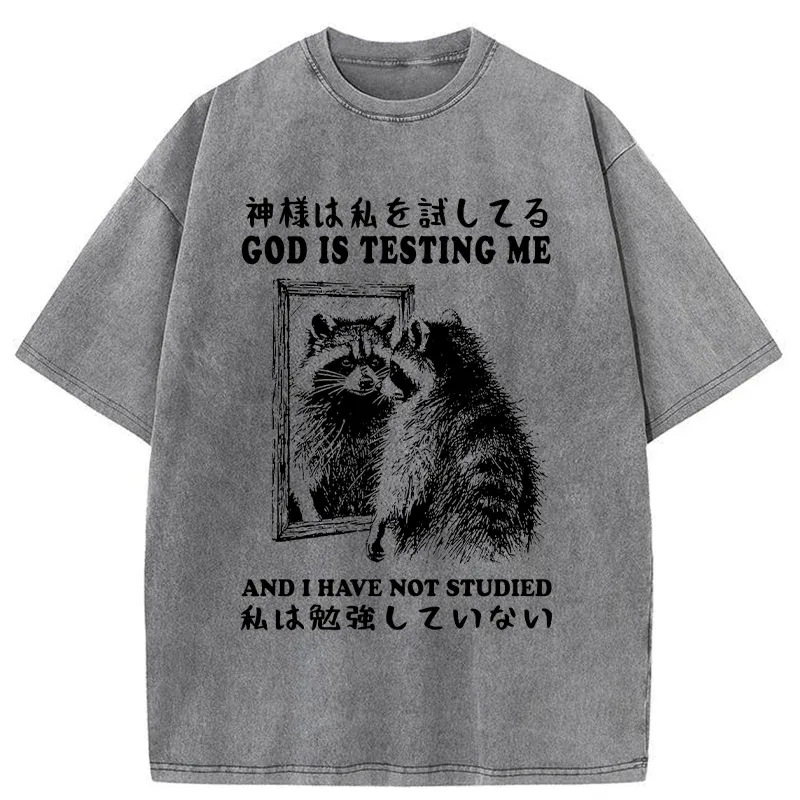 Tokyo-Tiger Raccoon Not Studied Washed T-Shirt