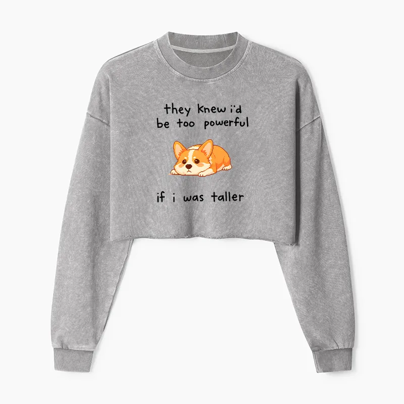Tokyo-Tiger Funny Short Dog Joke Washed Crop Sweatshirt