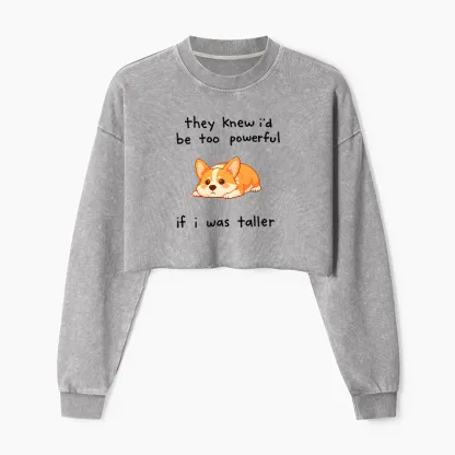 Tokyo-Tiger Funny Short Dog Joke Washed Crop Sweatshirt