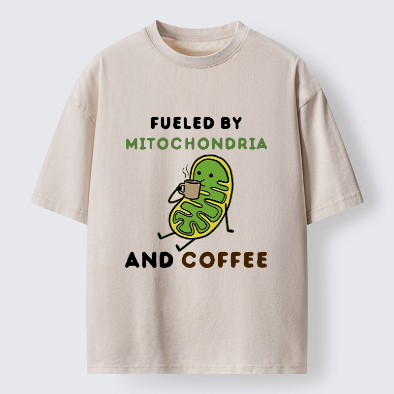 Tokyo-Tiger Two Sources Energy Funny Meme Washed T-Shirt