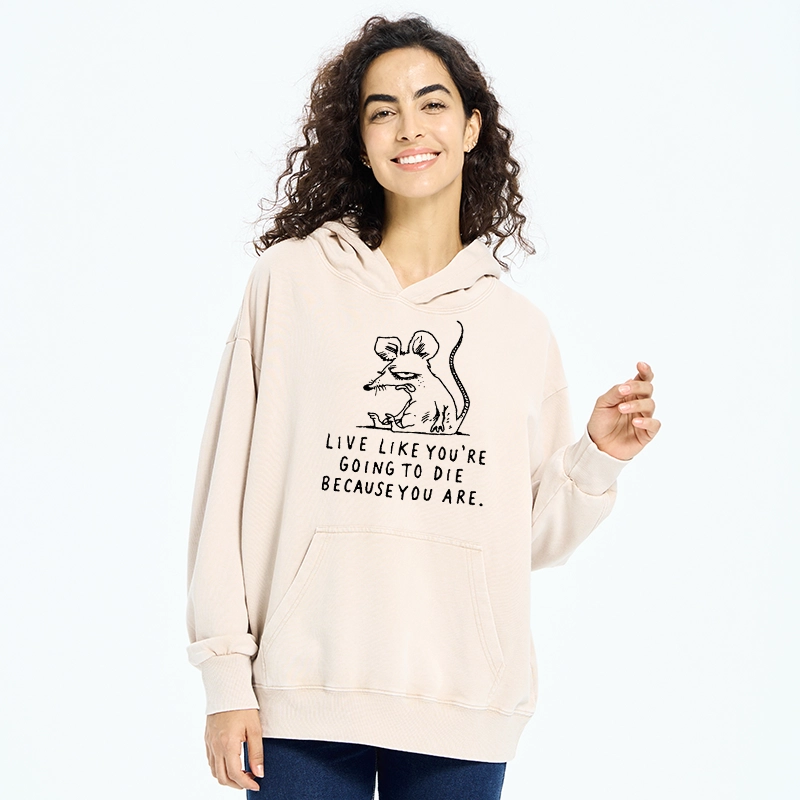 Tokyo-Tiger Funny Meme Sarcastic Rat Life Truth Washed Hoodie