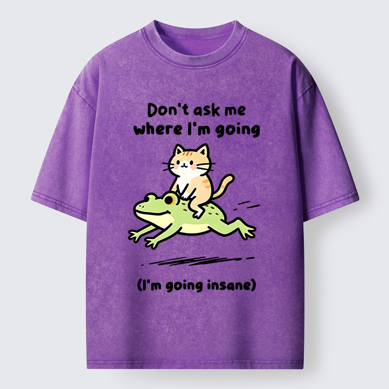 Tokyo‑Tiger Cat Riding Frog Meme Washed T-Shirt