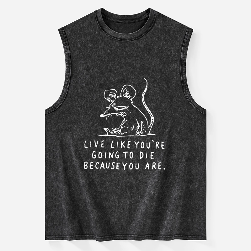 Tokyo-Tiger Funny Meme Sarcastic Rat Life Truth Washed Tank