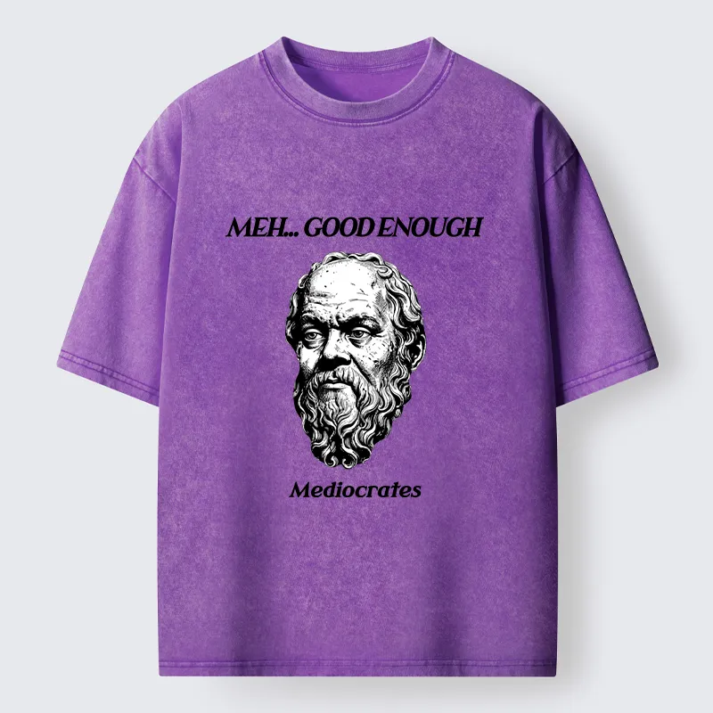 Tokyo-Tiger Meh Philosophy Meme Washed T-Shirt