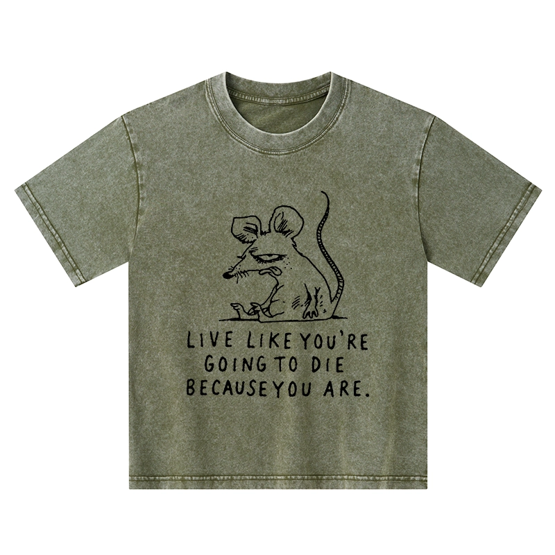 Tokyo-Tiger Funny Meme Sarcastic Rat Life Truth Kids Washed T-Shirt