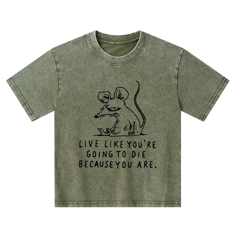 Tokyo-Tiger Funny Meme Sarcastic Rat Life Truth Kids Washed T-Shirt