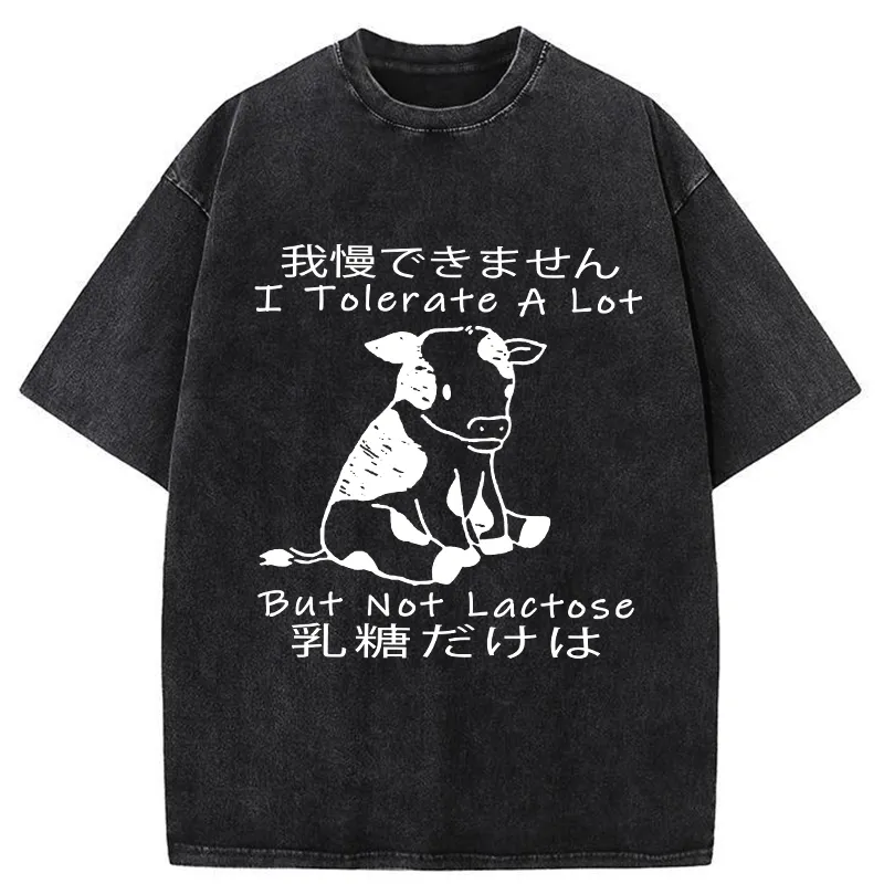 Tokyo-Tiger I Can't Tolerate Lactose Washed T-Shirt