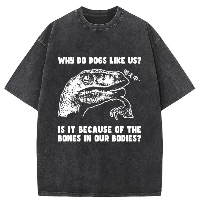 Tokyo-Tiger Thinking Philosoraptor Washed T-Shirt