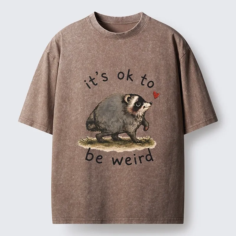 Tokyo-Tiger Jimothy Weird Raccoon Art Washed T-Shirt