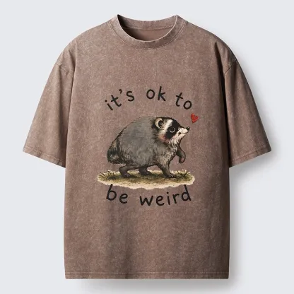 Tokyo-Tiger Jimothy Weird Raccoon Art Washed T-Shirt