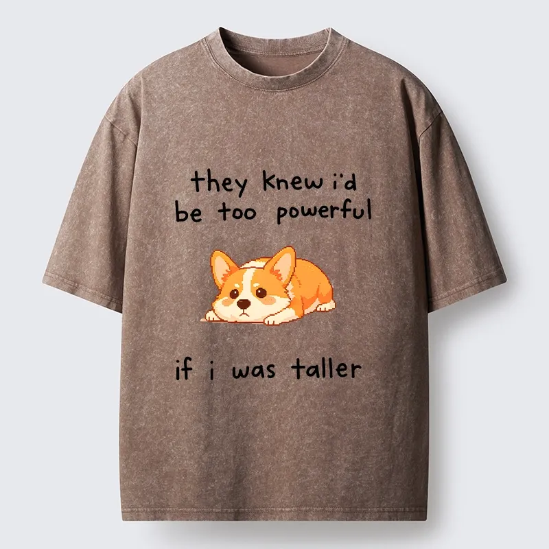 Tokyo-Tiger Funny Short Dog Joke Washed T-Shirt