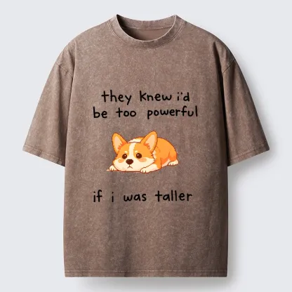 Tokyo-Tiger Funny Short Dog Joke Washed T-Shirt