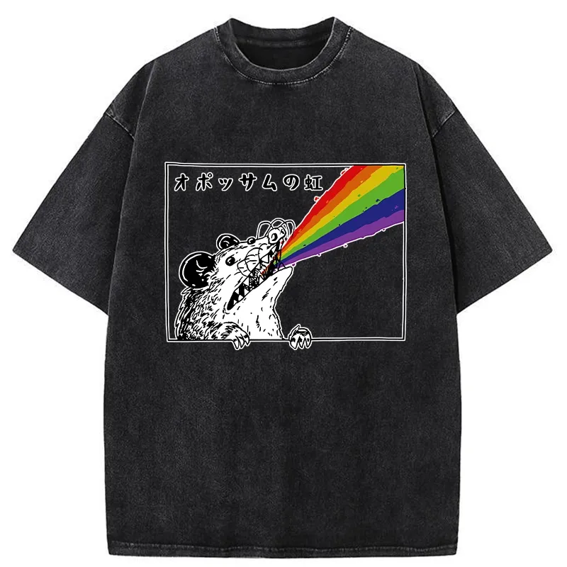 Tokyo-Tiger Opossum Rainbow Washed T-Shirt Sale