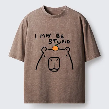 Tokyo‑Tiger Funny Capybara Orange Washed T‑Shirt