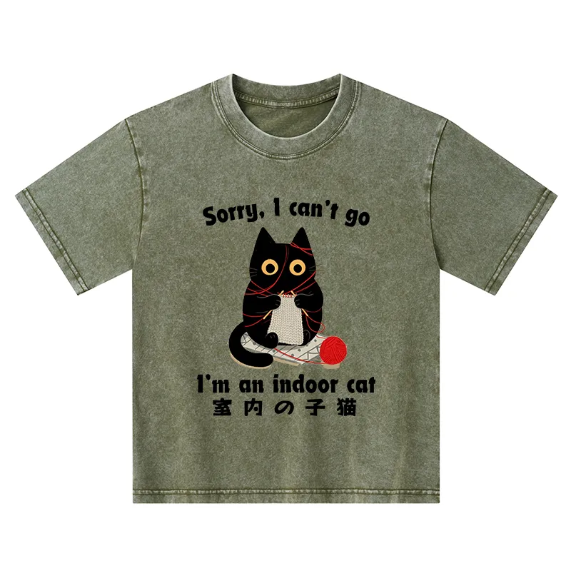 Tokyo-Tiger Indoor Cat Meme Kids Washed T-Shirt