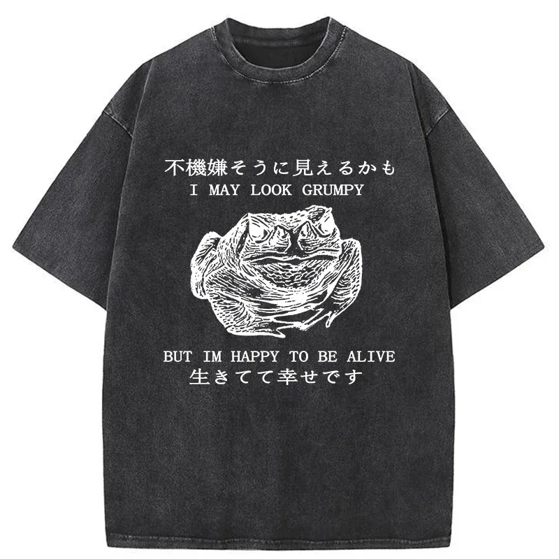 Tokyo-Tiger Emotionally Calm Frog Washed T-Shirt