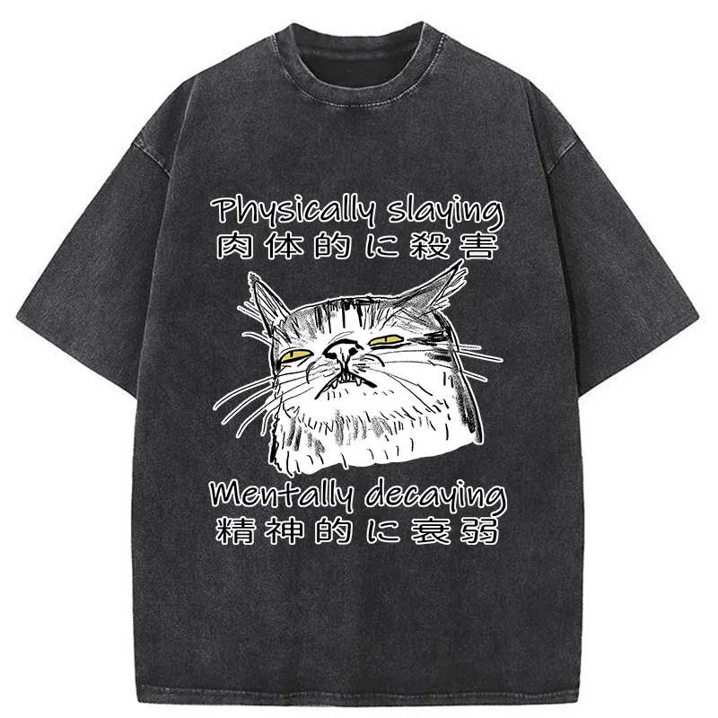 Tokyo-Tiger Physically Slaying Mentally Decaying Washed T-Shirt