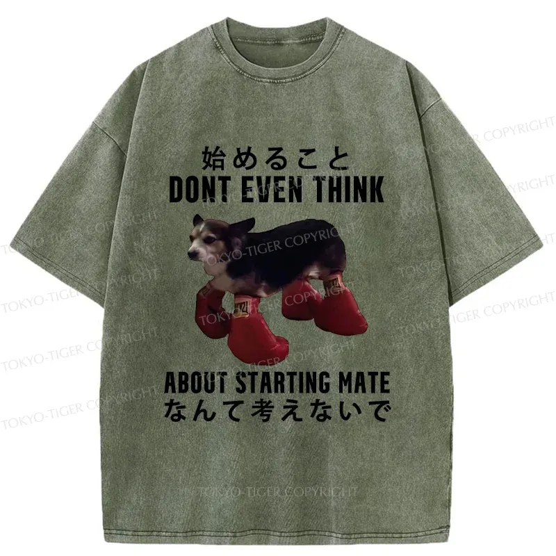Tokyo-Tiger Funny Violent Boxer Washed T-Shirt
