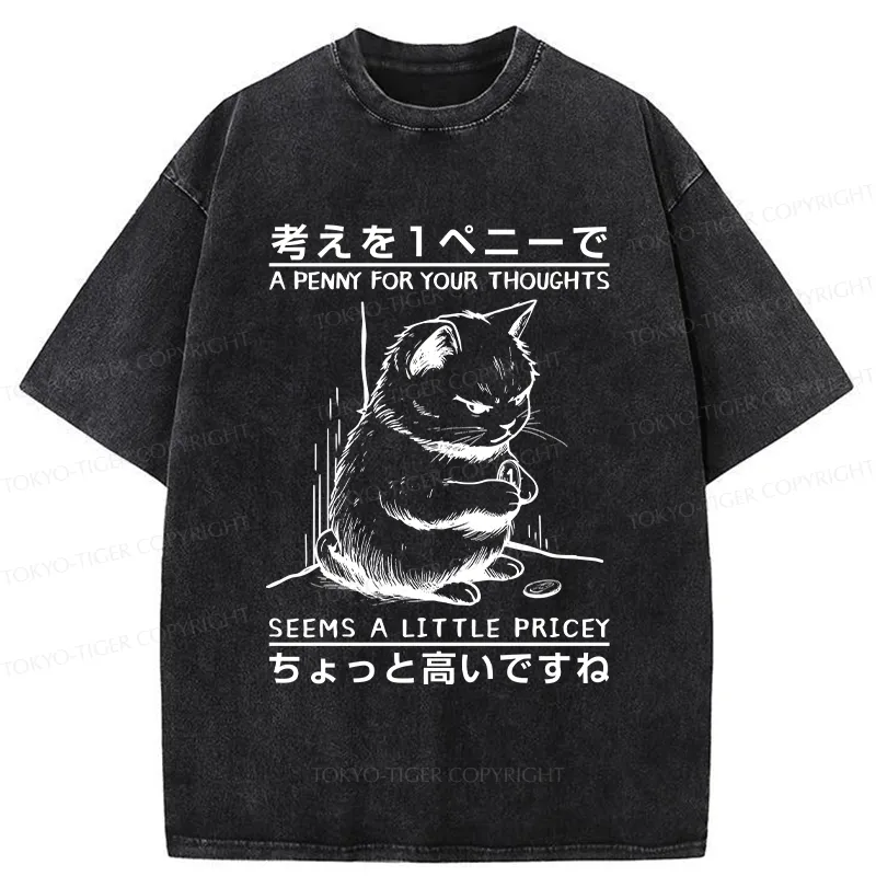 Tokyo-Tiger A Penny For Your Thoughts Washed T-Shirt