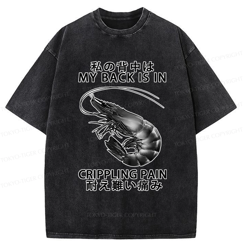 Tokyo-Tiger My Back Is In Crippling Pain Washed T-Shirt