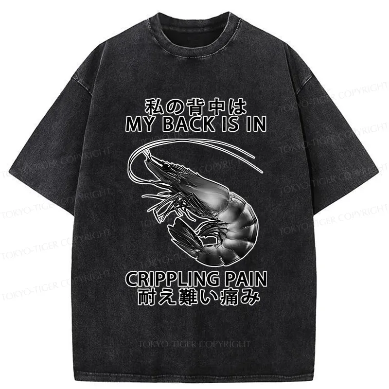 Tokyo-Tiger My Back Is In Crippling Pain Washed T-Shirt