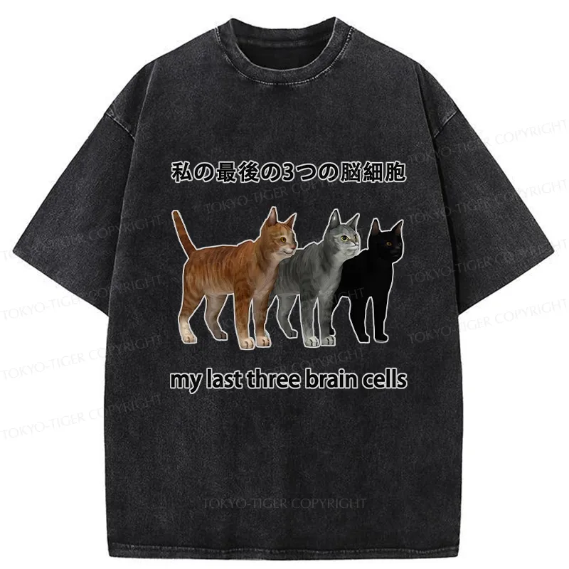 Tokyo-Tiger My Last Three Brain Cells Washed T-Shirt