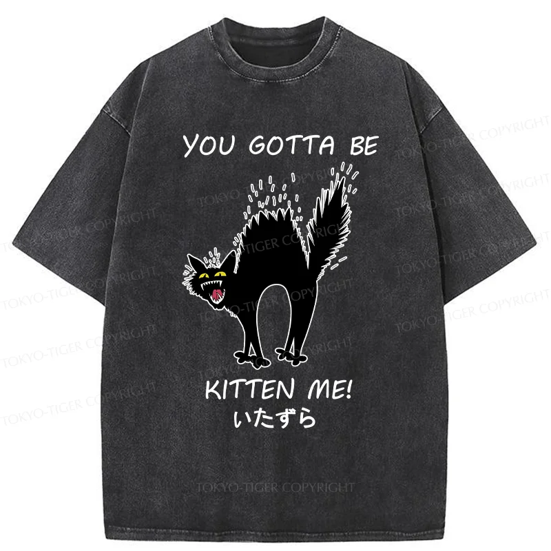 Tokyo-Tiger Cat Being Teased Washed T-Shirt