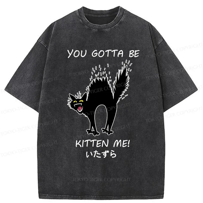 Tokyo-Tiger Cat Being Teased Washed T-Shirt