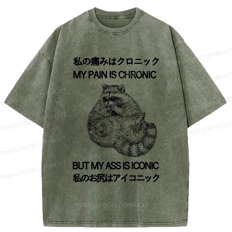 Tokyo-Tiger Raccoon Assis Iconic Washed T-Shirt