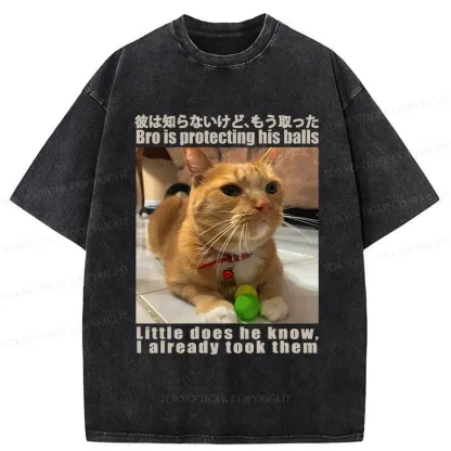 Tokyo-Tiger Bro Is Protecting His Balls Washed T-Shirt
