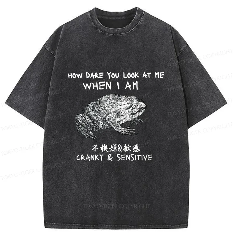 Tokyo-Tiger Frog That Can't Look Straight Washed T-Shirt