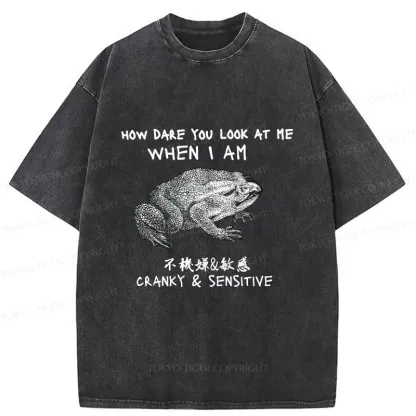 Tokyo-Tiger Frog That Can't Look Straight Washed T-Shirt