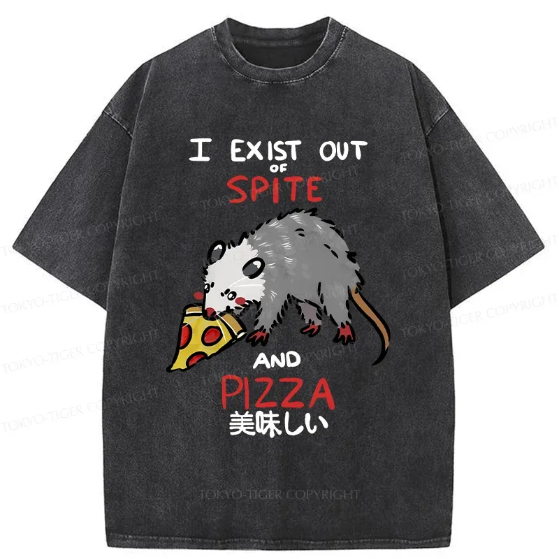 Tokyo-Tiger Delicious Pizza Japan Washed T-Shirt
