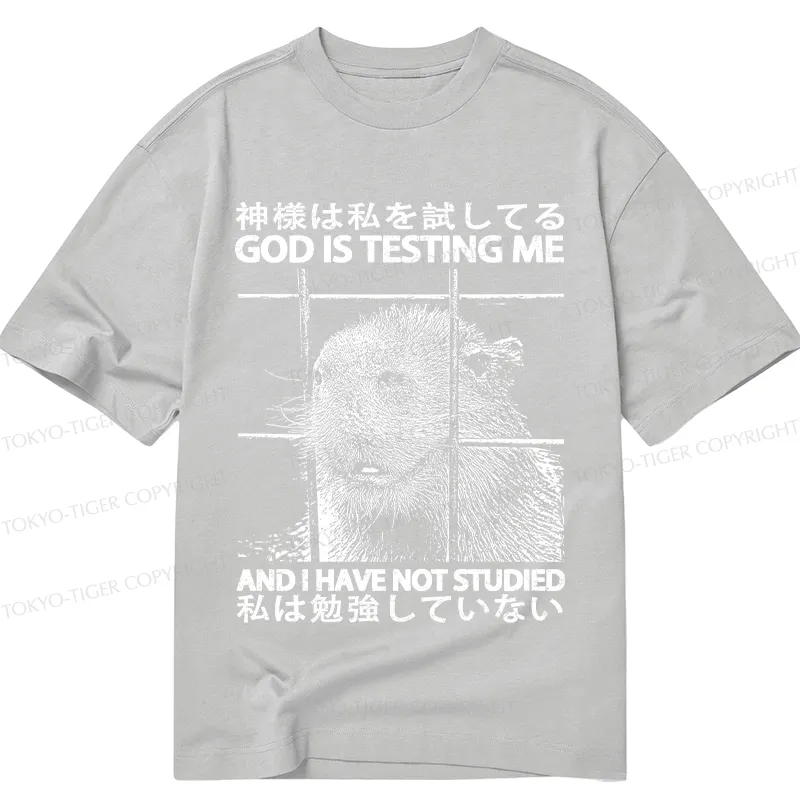 Tokyo-Tiger God Is Testing Me Classic T-Shirt