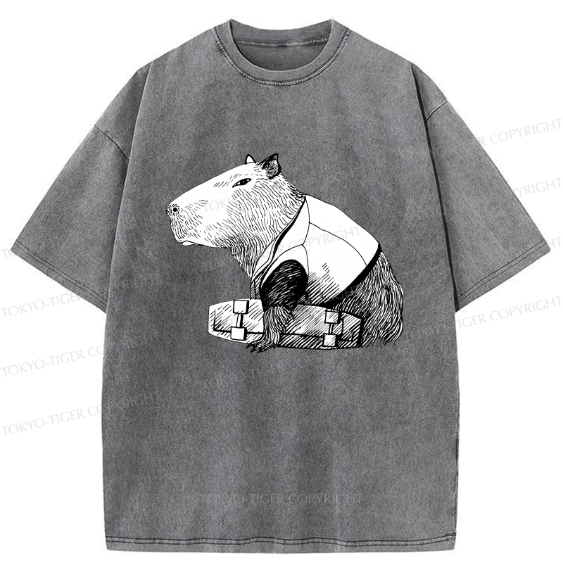 Tokyo-Tiger Funny Capybara Skateboard Washed T-Shirt