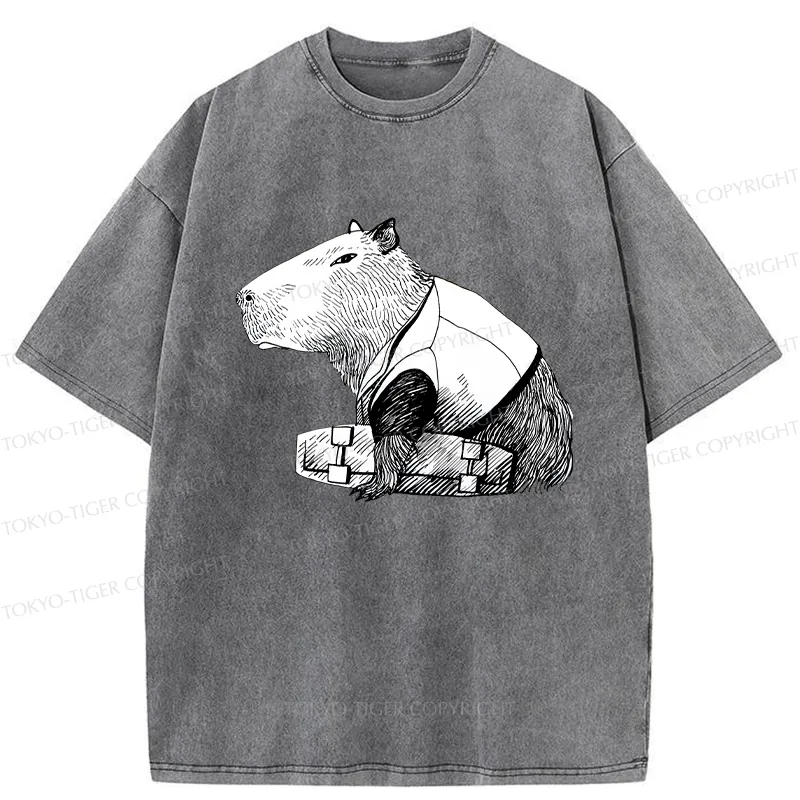 Tokyo-Tiger Funny Capybara Skateboard Washed T-Shirt