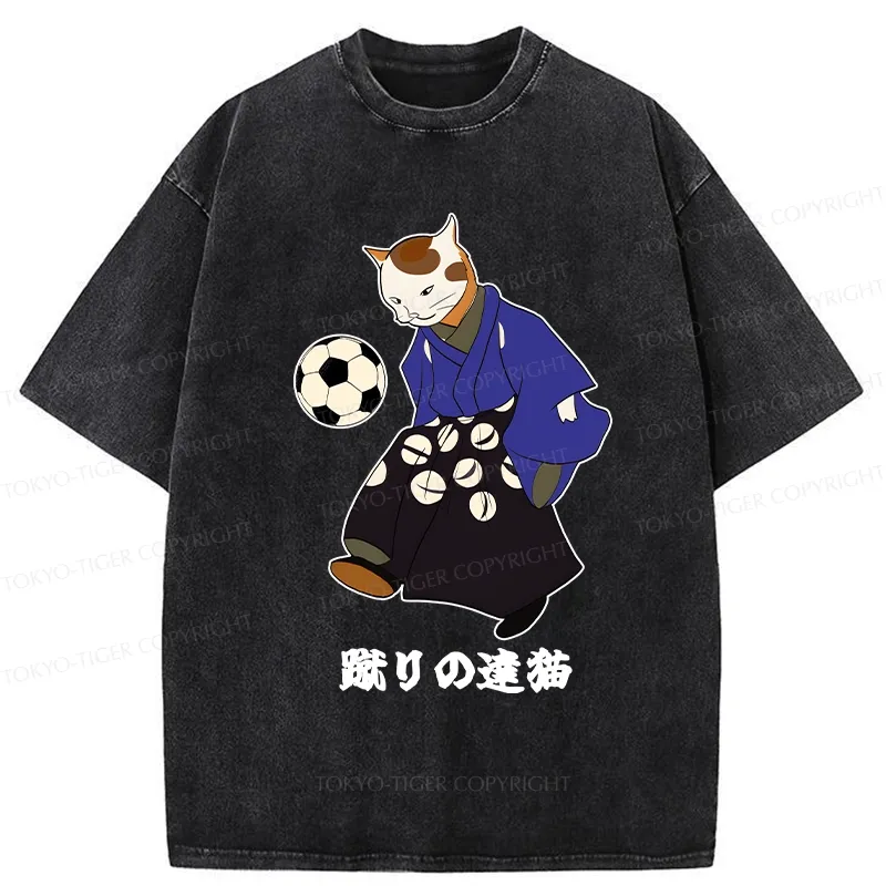 Tokyo-Tiger Cat Playing Football Washed T-Shirt