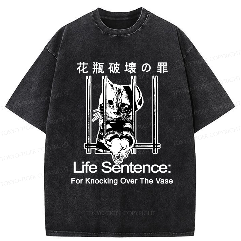Tokyo-Tiger The Sin Of Vase Breaking Funny Washed T-Shirt