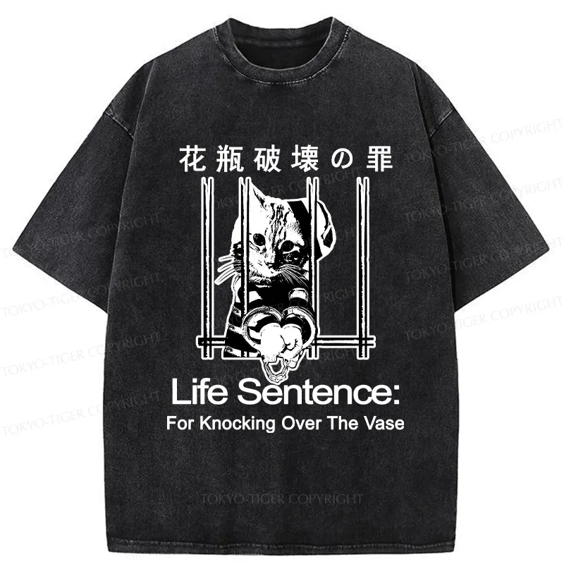 Tokyo-Tiger The Sin Of Vase Breaking Funny Washed T-Shirt