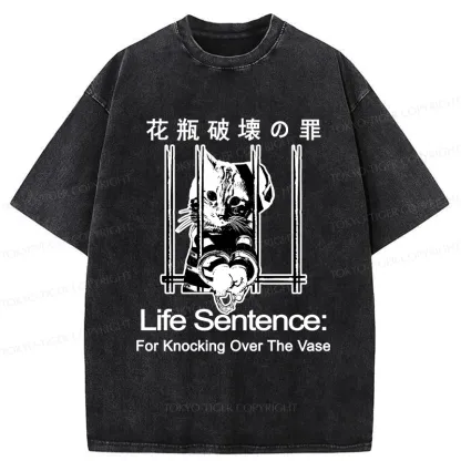 Tokyo-Tiger The Sin Of Vase Breaking Funny Washed T-Shirt