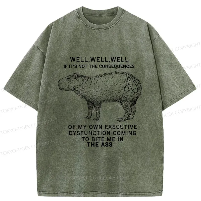 Tokyo-Tiger Stupid Capybara Washed T-Shirt