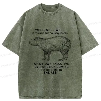 Tokyo-Tiger Stupid Capybara Washed T-Shirt